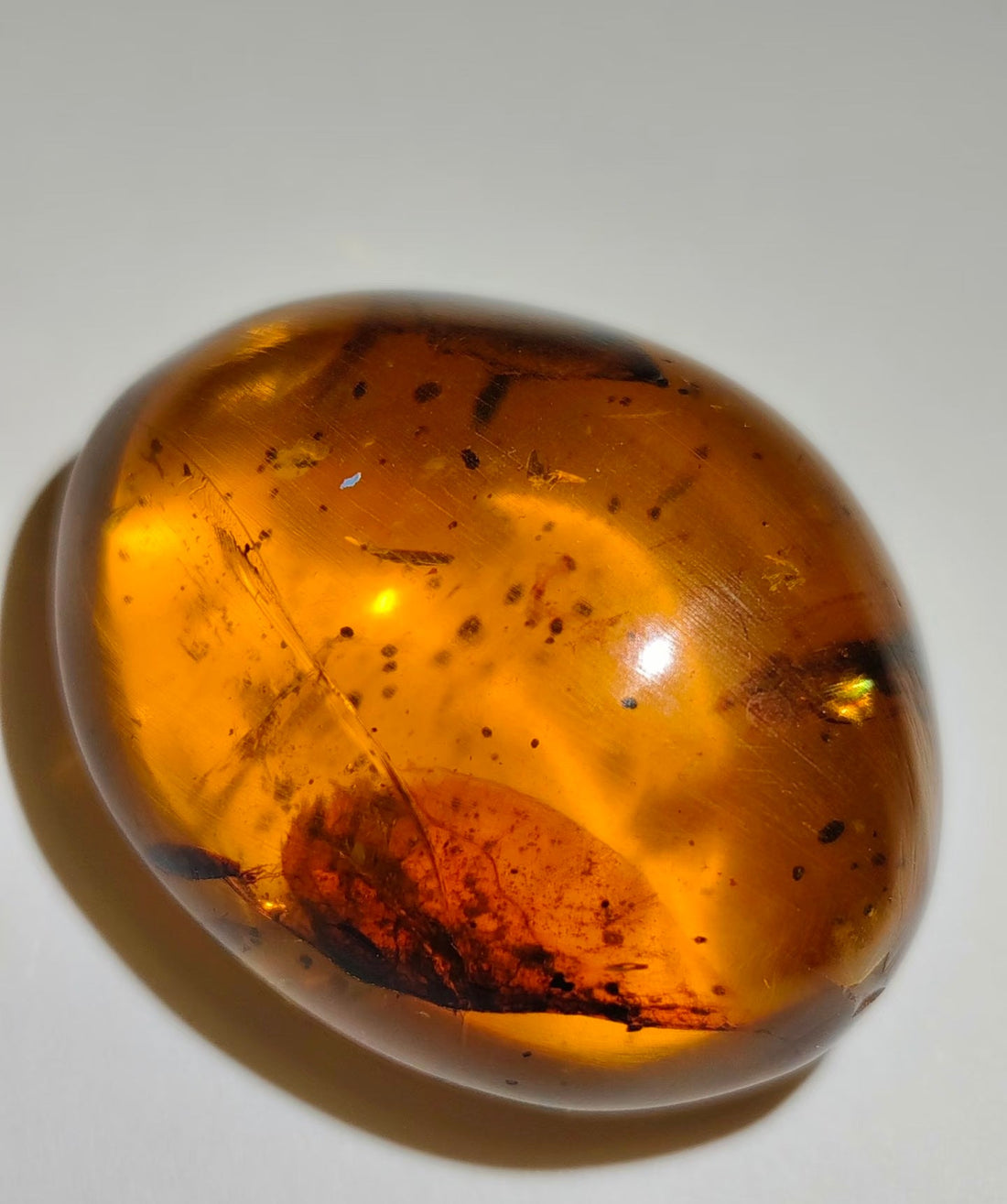 Amber Resin: Meaning, Origins, and the Allure of Warm, Golden Calm