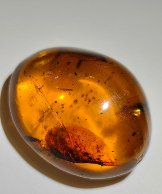Amber Resin: Meaning, Origins, and the Allure of Warm, Golden Calm