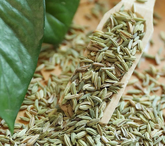 Fennel Tea: The Ancient Remedy for Digestion, Warmth, and Inner Balance