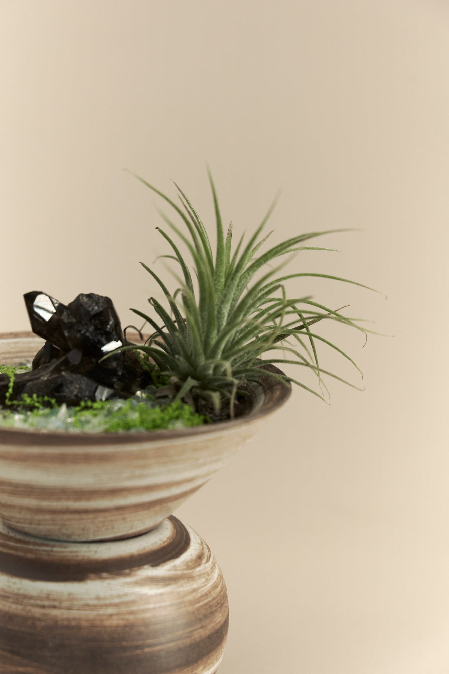Bonsai with Crystal