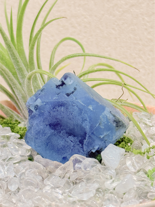 Elemental Crystal Bonsai |Water