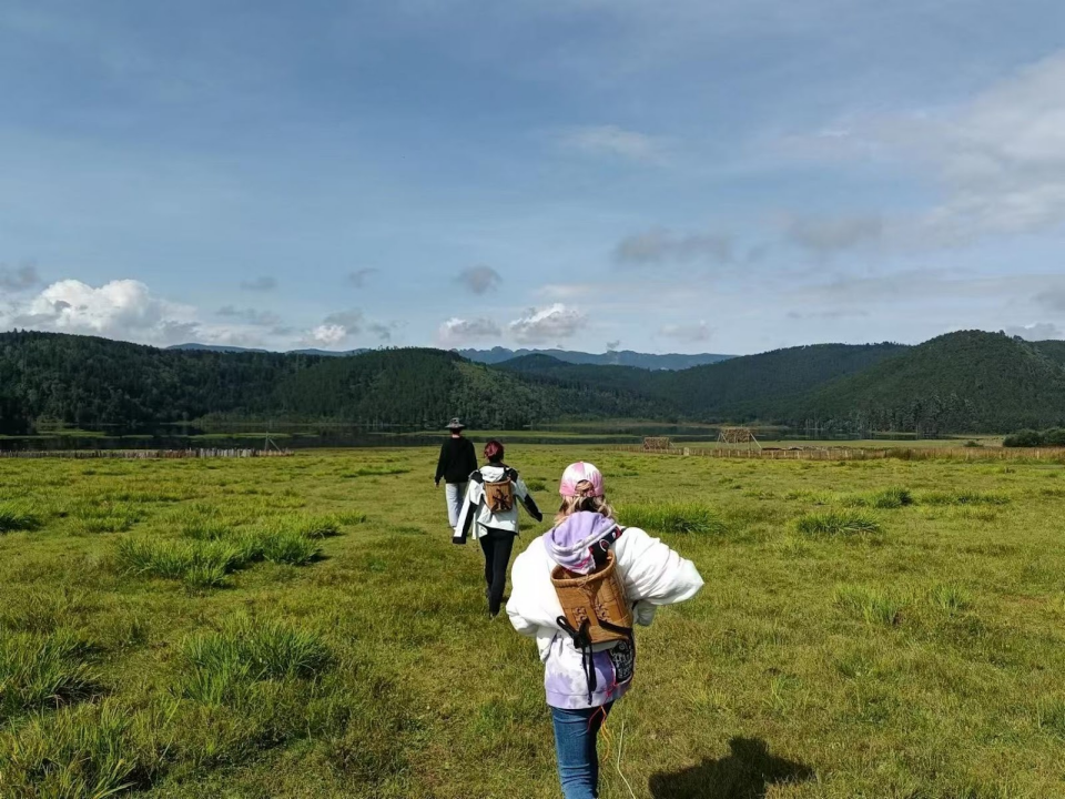 The Moss That Started It All: A Scented Journey to AURAWELL