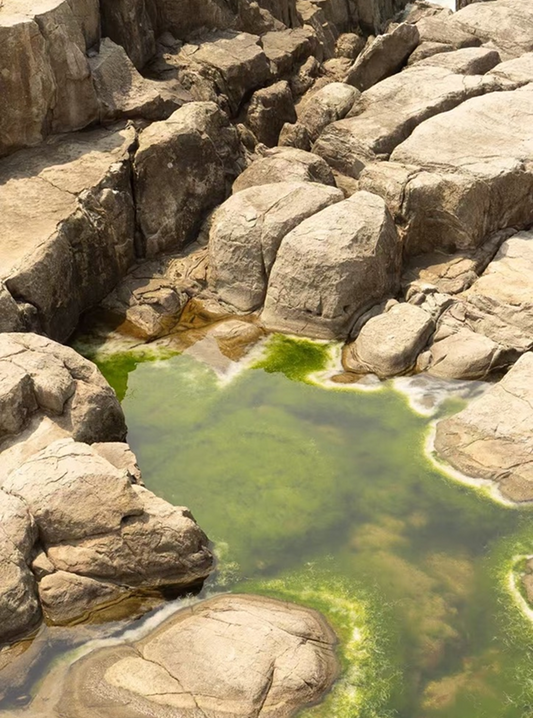 Chakra Stones: What They Are, How They Work, and How to Use Them