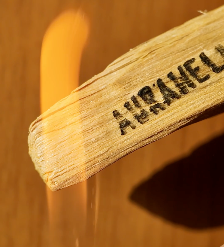 How to Burn Palo Santo: A Simple Guide for Beginners