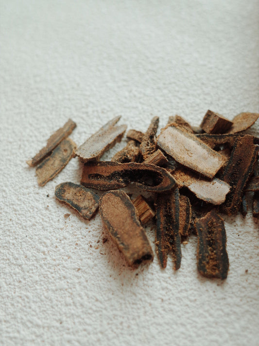 The Scent of Sanctuary: Why Burning Agarwood Feels Like a Mother’s Embrace