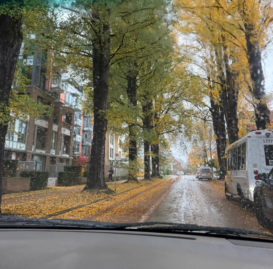 How to Create the Perfect "Rainy Day Mood": A Ritual of Scent and Sound