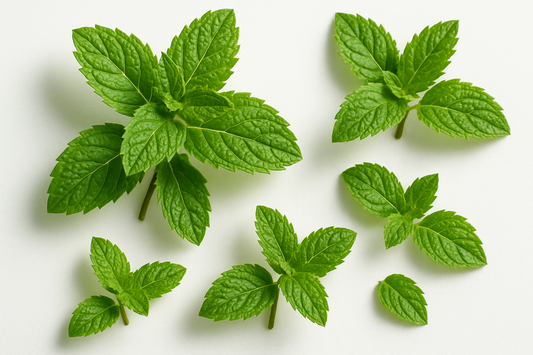Peppermint Spray: More Than a Minty Wake-Up