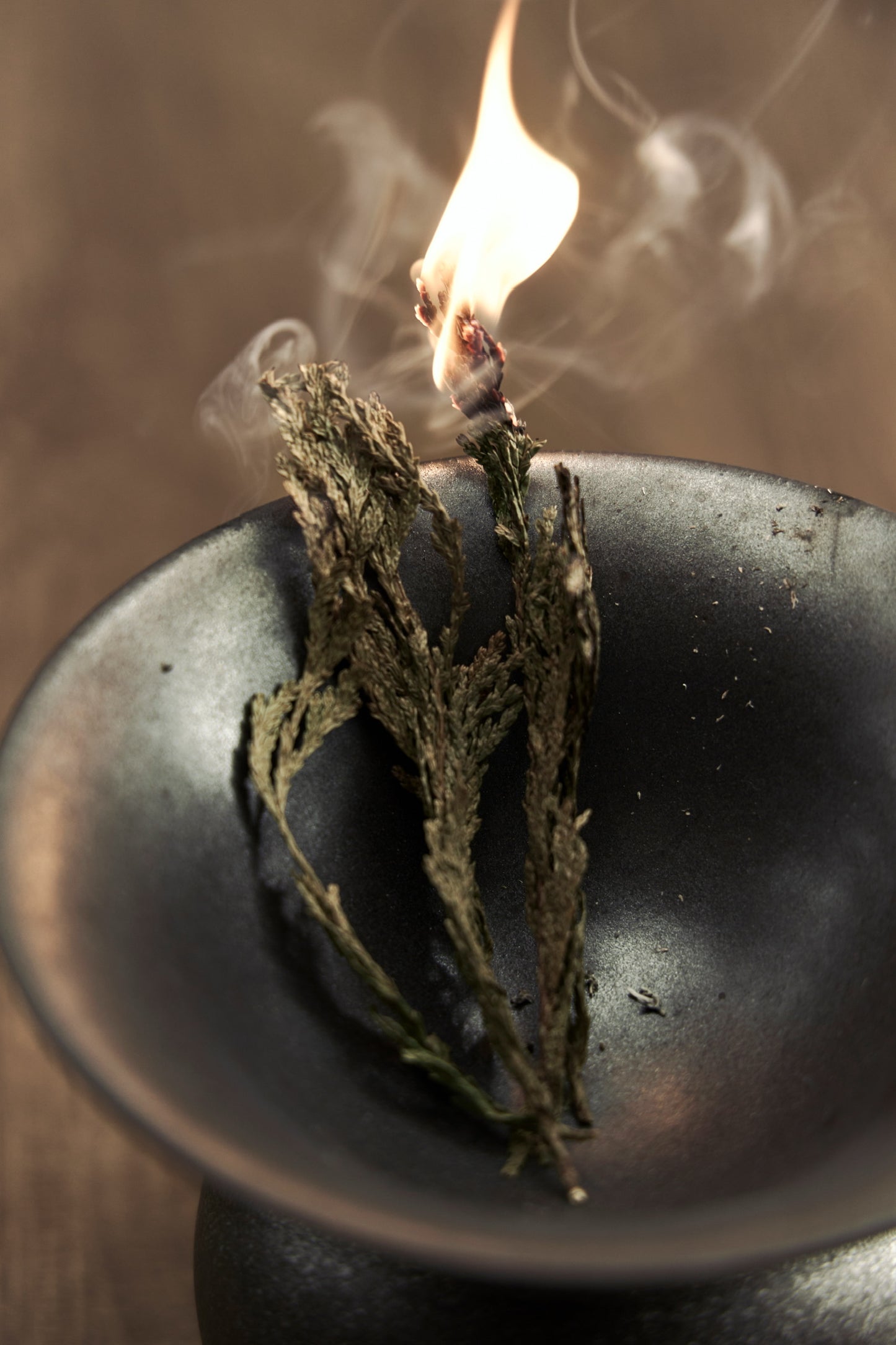 CALM WAND | Cedar Smudge Sticks