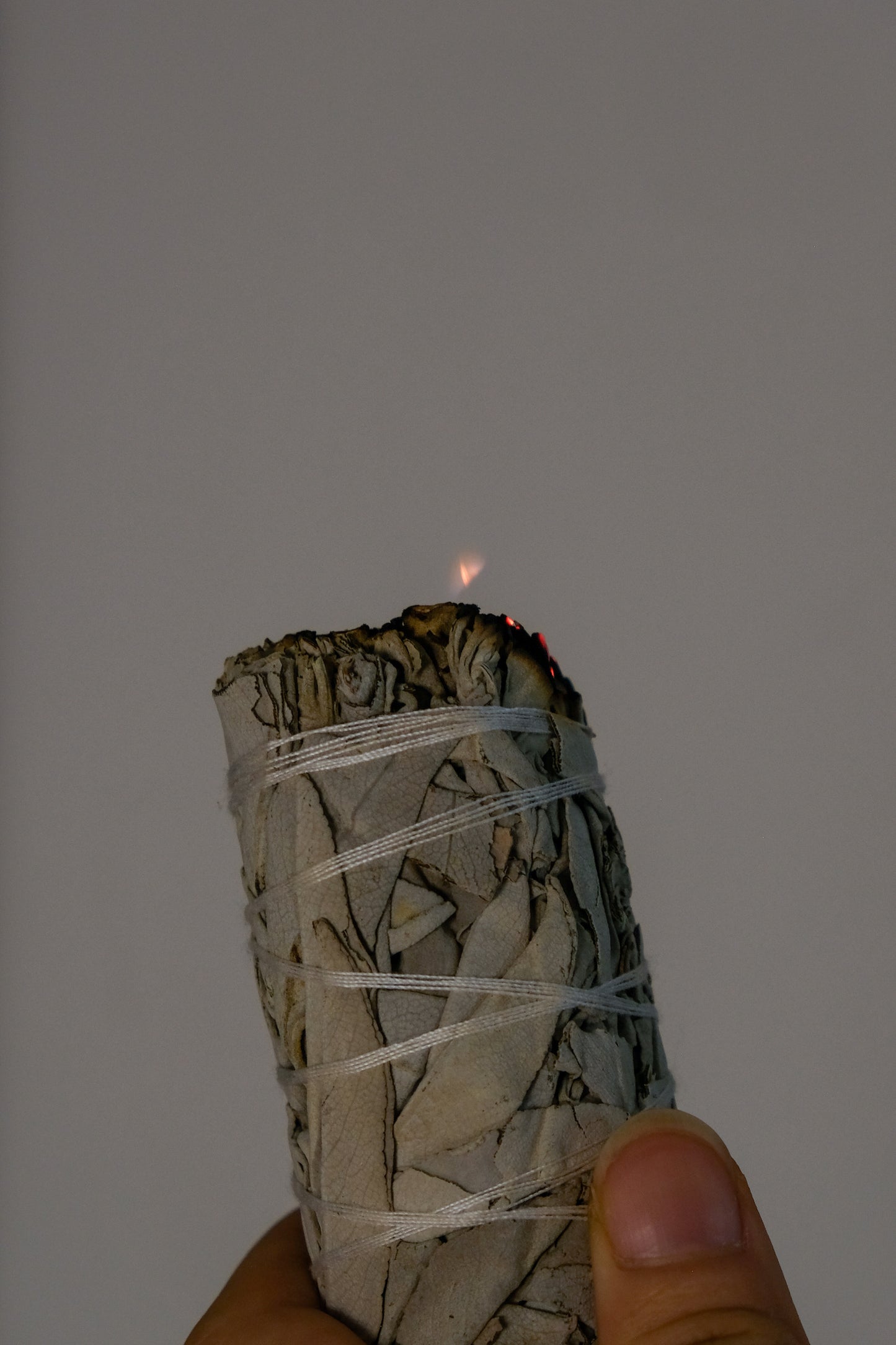 EMPOWERING WAND | White sage + Palo santo