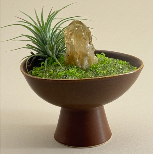 Decorative bowl with plants and a crystal on a beige background